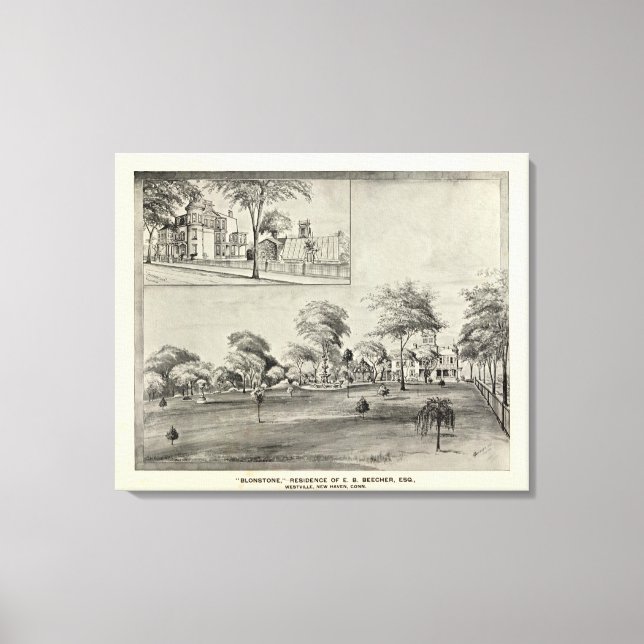 Lienzo Blonstone, Westville (Anverso)