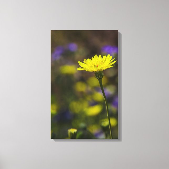 Lienzo Bloom (Anverso)
