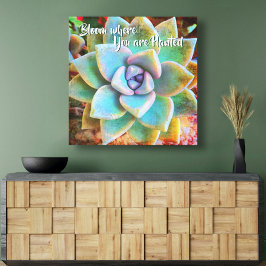 Lienzo Bloom fotográfico Cactus Verde Turquesa Donde Se P