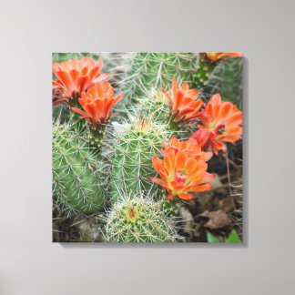 Lienzo Blooming Cactus Photo - Colorado Desert Wall Art