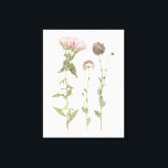 Lienzo Blooms Presionados - Rosa<br><div class="desc">Blooms III presionados por Grace Popp. Flores rosadas.</div>