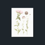 Lienzo Blooms Presionados - Rosa<br><div class="desc">Blooms III presionados por Grace Popp. Flores rosadas.</div>