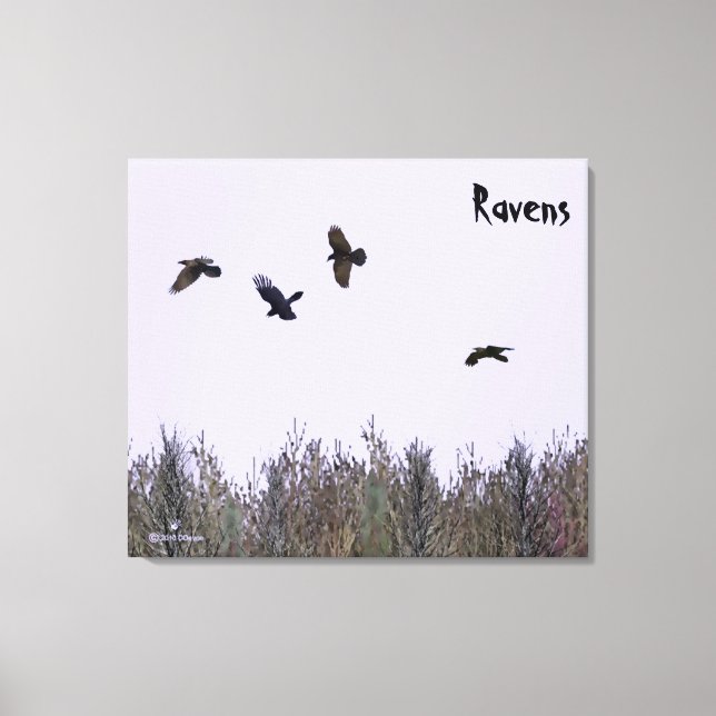 Lienzo Bloque de Ravens (Anverso)