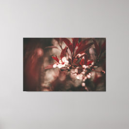 Lienzo Blossomas blancos pequeños