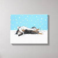 Blue Merle Shetland Sheepdog Sheltie Nieve de invi