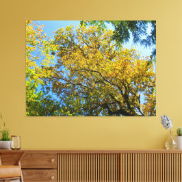 Lienzo Blue Sky & Otumt Foliage -