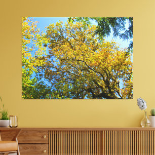 Lienzo Blue Sky & Otumt Foliage -