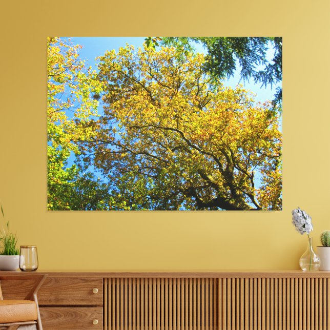 Lienzo Blue Sky & Otumt Foliage - (Insitu (Sala de estar))