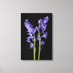 Lienzo Bluebells, desde el mismo bosque que creé!