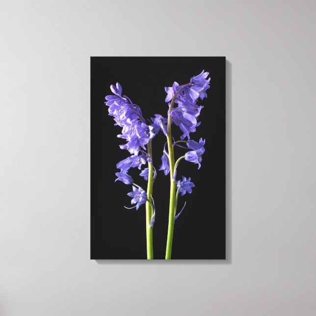 Lienzo Bluebells, desde el mismo bosque que creé! (Anverso)