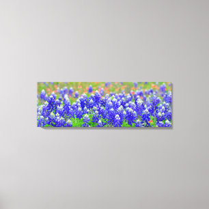 Lienzo Bluebonnets
