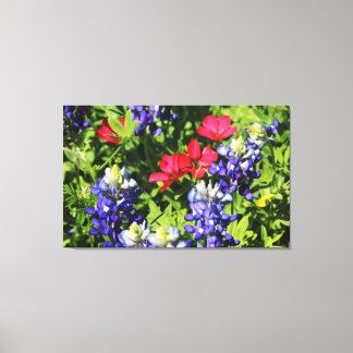 Lienzo Bluebonnets