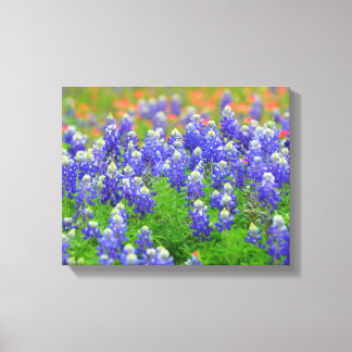 Lienzo Bluebonnets de primavera