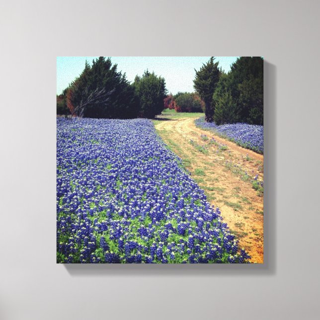 Lienzo Bluebonnets Dirt Road Print (Anverso)