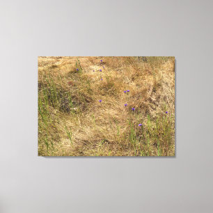 Lienzo Blues de California y oro