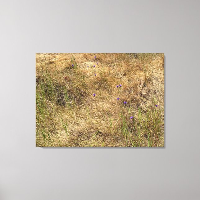 Lienzo Blues de California y oro (Anverso)