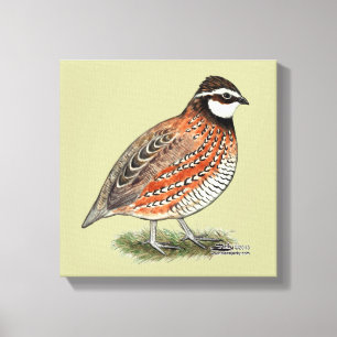Lienzo Bobwhite Quail Rooster