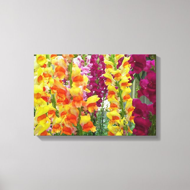 Lienzo Boca de Dragón Floral Colorida (Anverso)