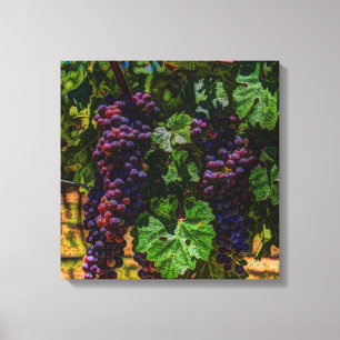 Lienzo Bodega Uvas de viñedos grapevine soleado toscano