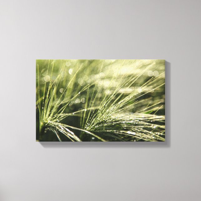 Lienzo Bokeh (Anverso)