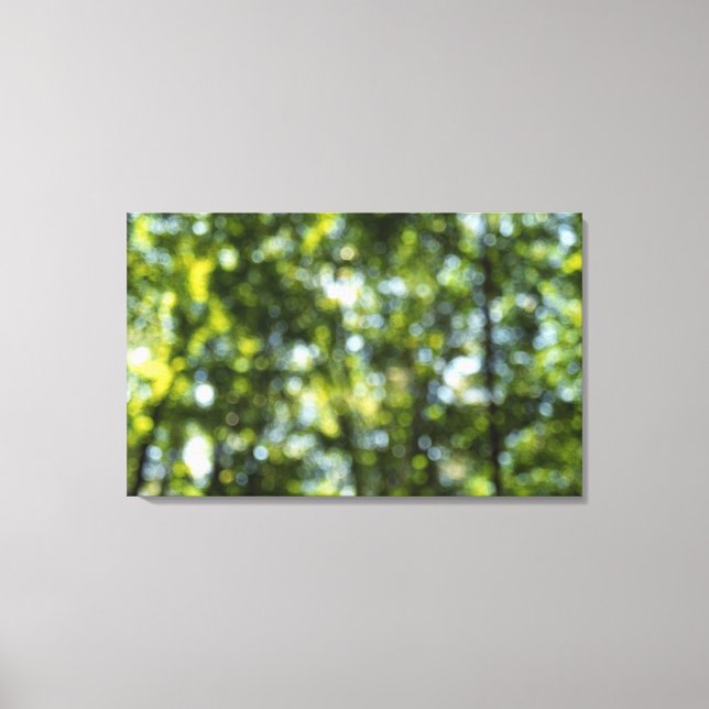 Lienzo Bokeh en primavera (Anverso)