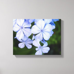 Lienzo Bokeh Floral Azul