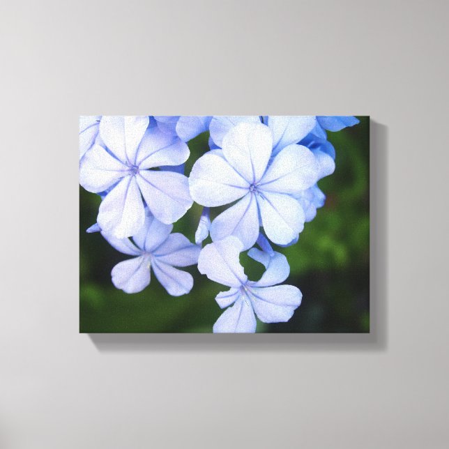 Lienzo Bokeh Floral Azul (Anverso)