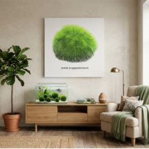 Bola de musgo Marimo dibujada a mano 