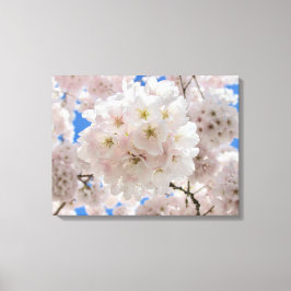 Lienzo Bolas de flores rosadas.