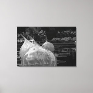 Lienzo Bombillas de vidrio flotantes