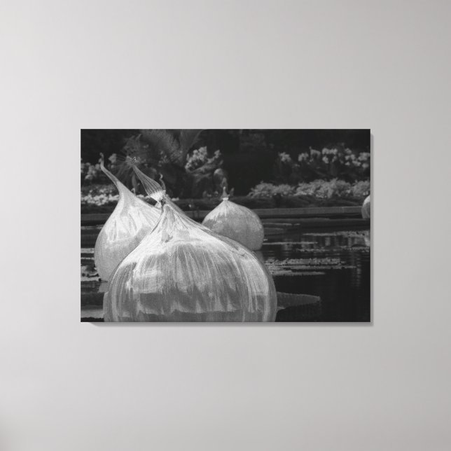 Lienzo Bombillas de vidrio flotantes (Anverso)