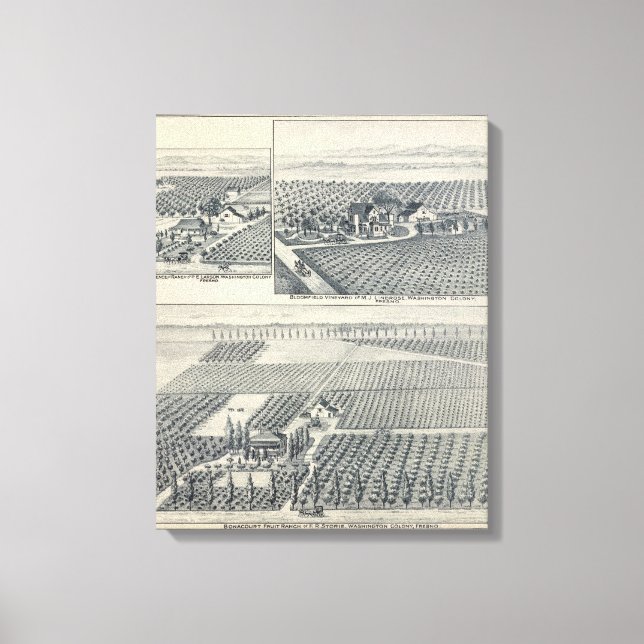 Lienzo Bonacourt Ranch, Washington Colony, California (Anverso)