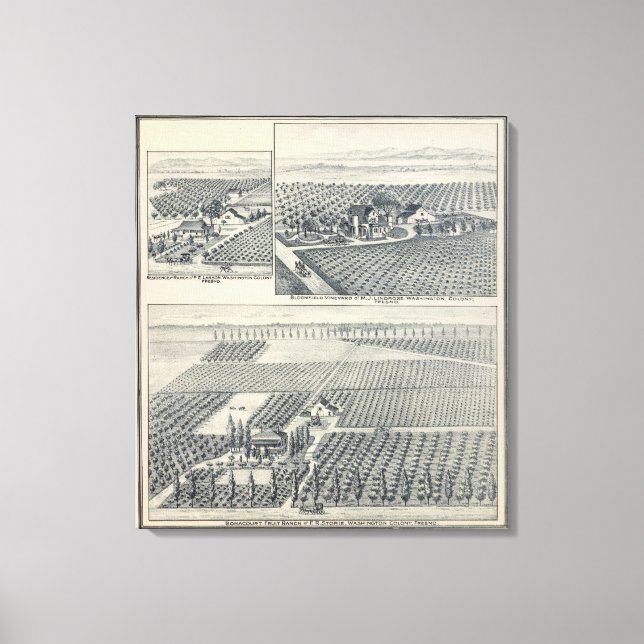 Lienzo Bonacourt Ranch, Washington Colony, California (Anverso)
