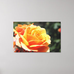 Lienzo Bonita fotografía con flores de rosa amarillo. Art