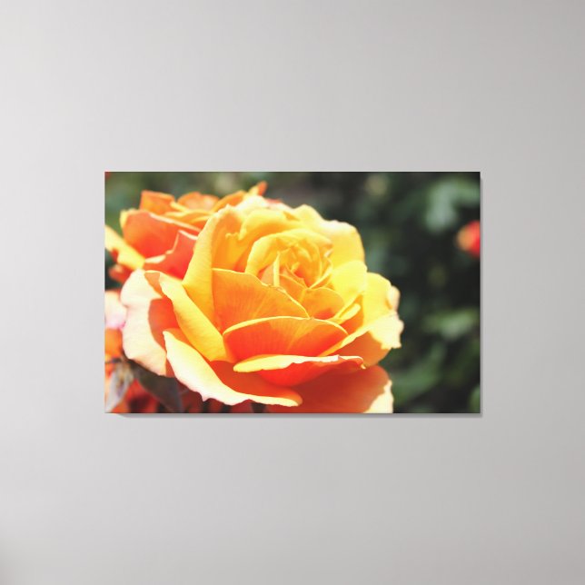 Lienzo Bonita fotografía con flores de rosa amarillo. Art (Anverso)