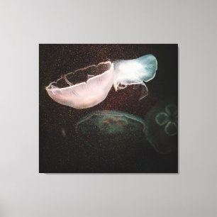 Lienzo Bonita medusa