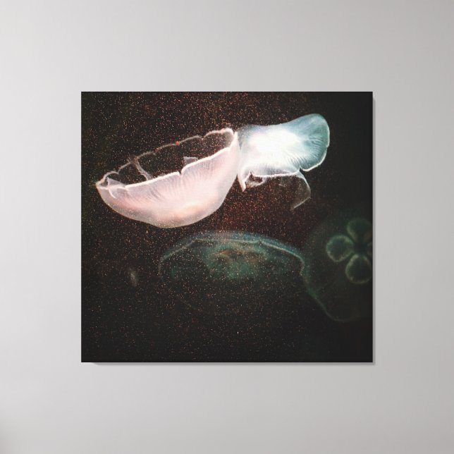 Lienzo Bonita medusa (Anverso)