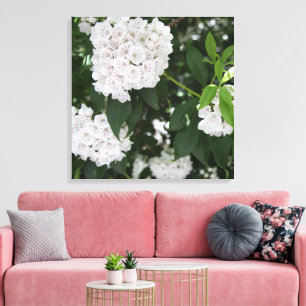 Lienzo Bonitas flores blancas de Laurel de Montaña