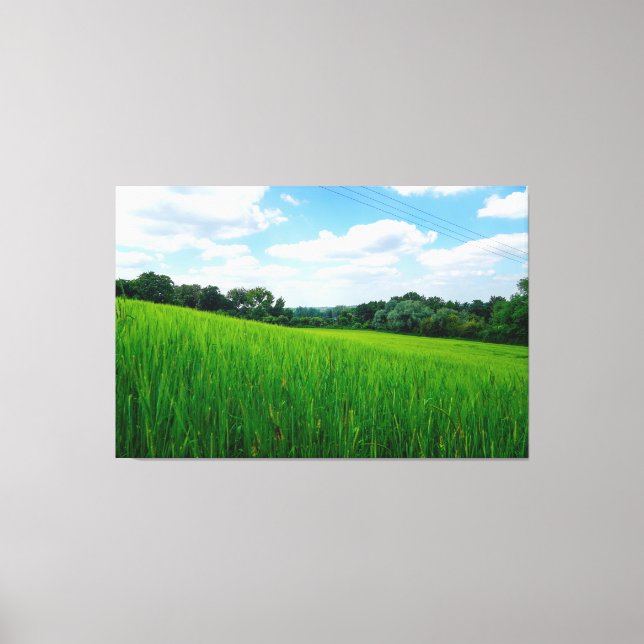 Lienzo Bonito campo (Anverso)