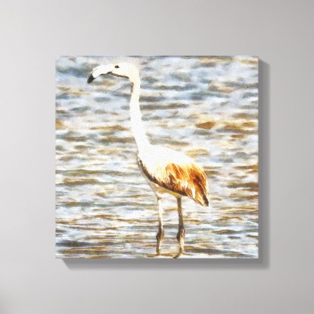 Lienzo Bonito Flamingo Fledgling Watercolor (Anverso)