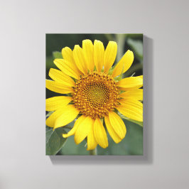 Lienzo Bonito Girasol amarillo soleado de 8" x 10"