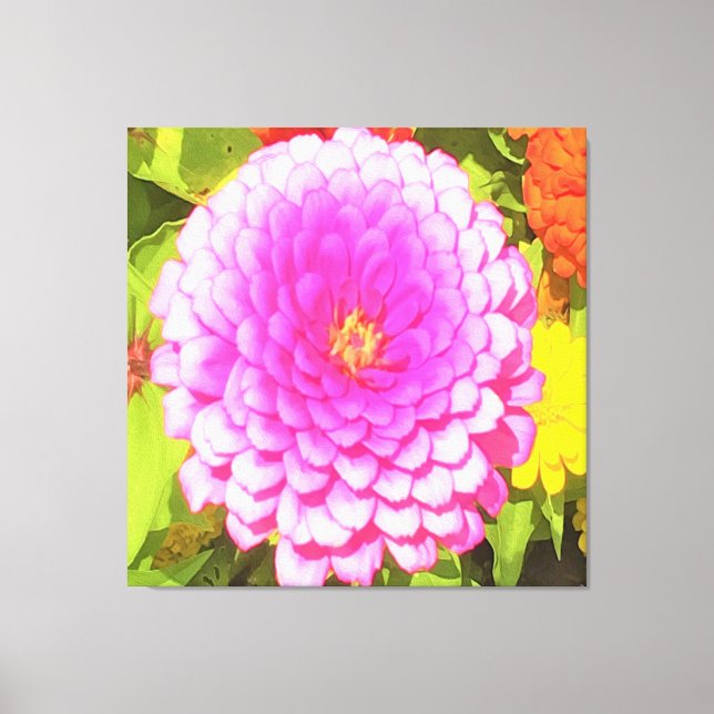 Lienzo Bonito redonda de zinnia rosa en el jardín de vera (Anverso)