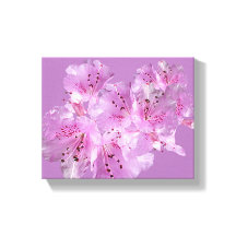 Bonito rosa rhododendron floral hermosa