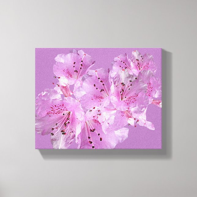 Lienzo Bonito rosa rhododendron floral hermosa (Anverso)