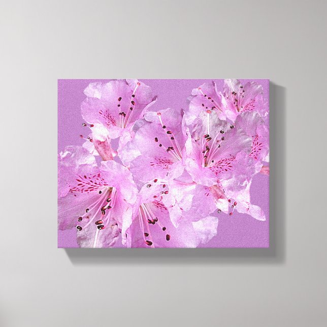 Lienzo Bonito rosa rhododendron floral hermosa (Anverso)