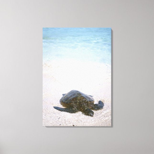 Lienzo Borde del agua (Anverso)