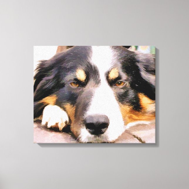 LIENZO BORDER COLLIE (Anverso)