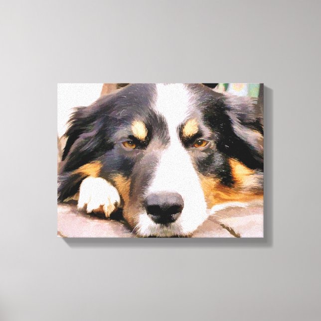 LIENZO BORDER COLLIE (Anverso)