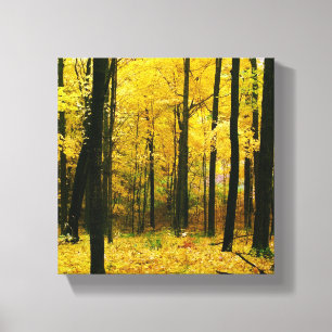 Lienzo Bosque amarillo otoñal