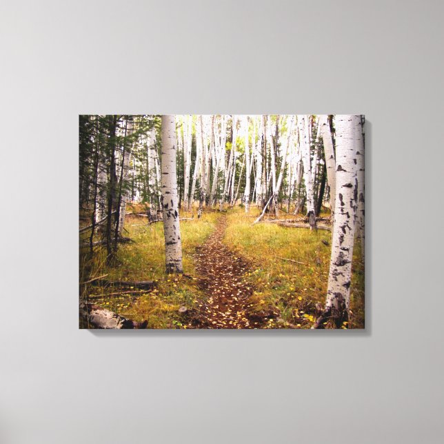 Lienzo Bosque Aspen en otoño (Anverso)